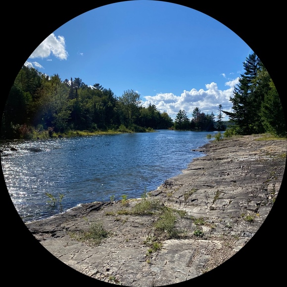 Profile Picture of Caitlin Mackenzie (@cppmackenzie) on Poshmark