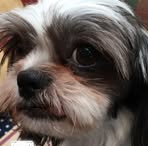 Profile Picture of Alison Klarer (@alison.schmalison.7) on Facebook