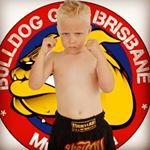 Profile Picture of Steve Guinane (@bulldoggym_brisbane) on Instagram