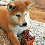 Profile Picture of jeremy adams (@jeremyadams563) on Flickr