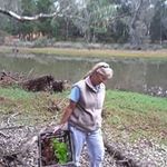 Profile Picture of Pamela Abbott (@pamelaabbott3763) on Instagram