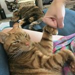 Profile Picture of Benjamin Hector (@bnjinhector00) on Instagram