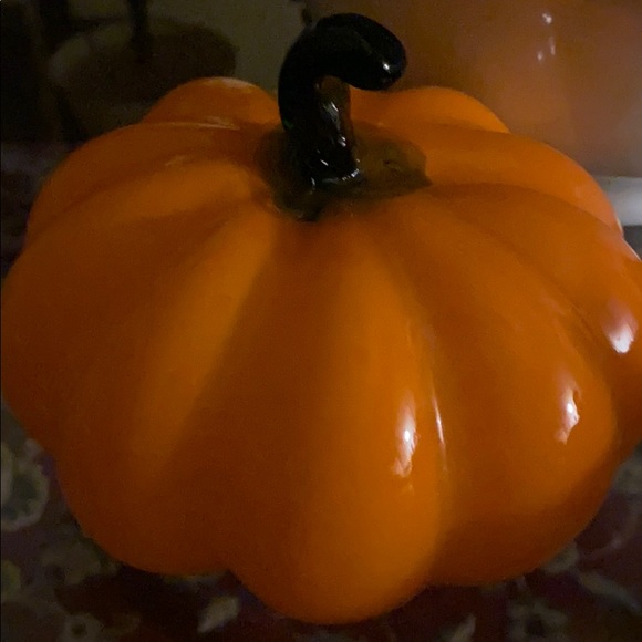 Profile Picture of Elisa Viscarra (@elisaviscarra) on Poshmark