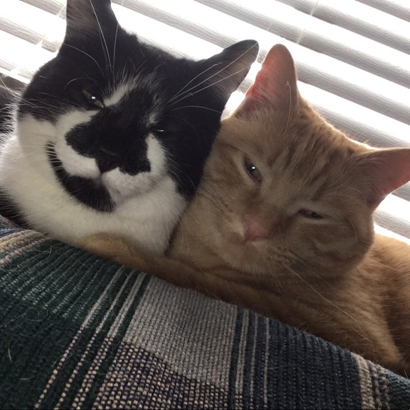 Profile Picture of Jeremy Hollers (@jeremy_hollers) on Poshmark