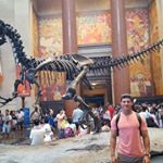 Profile Picture of Joe Crowley (@joecrowley1) on Instagram