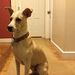 Profile Picture of ZzPizza Personzz (@derekbarboza770) on Pinterest