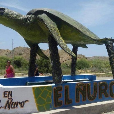 Profile Picture of Artemio Rivera Mogollón (@MogollonRivera) on Twitter