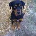 Profile Picture of Ralph Clanton (@ralph.clanton.12) on Facebook