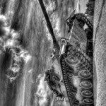 Profile Picture of 1 follower (@carliefloydf4) on Instagram