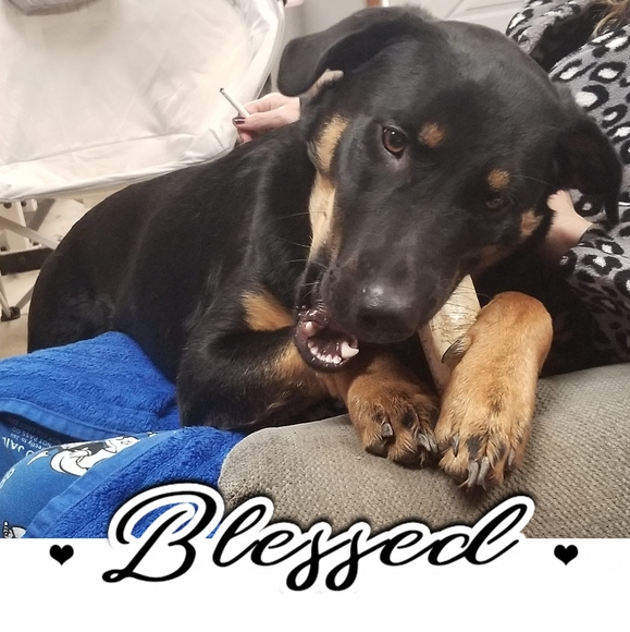 Profile Picture of Linda Vanatta (@linvanat) on Poshmark