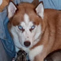 Kipp Jones - Quora Profile Picture of Kipp Jones (@kipp-jones-3) on Quora