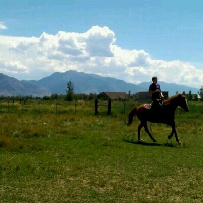 Profile Picture of Seth Douglas Reid (@sethreid33) on Twitter