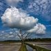Profile Picture of Yesenia Resto (@yessyresto) on Pinterest