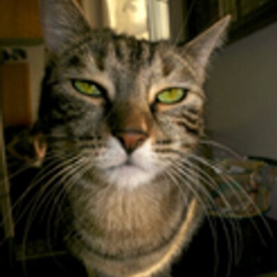 Tiffany Hagler-Geard - Twitter Profile Picture of Tiffany Hagler-Geard (@THGeard) on Twitter