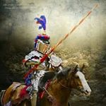 Profile Picture of Thomas Nader (@combatantskeepjousting) on Instagram