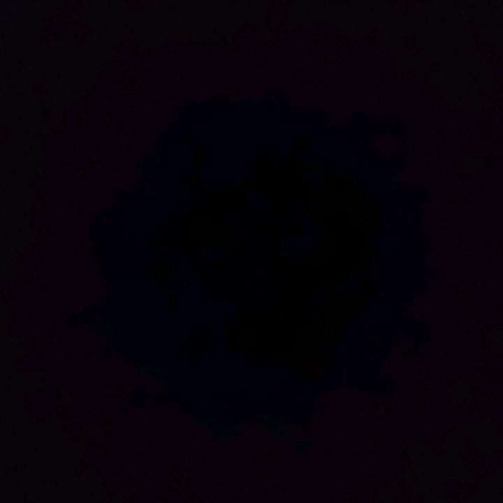 Profile Picture of Jeremy (@jeremycapin7) on Tiktok