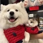 Profile Picture of Roxanne Edison (@Roxanne-Edison) on Facebook