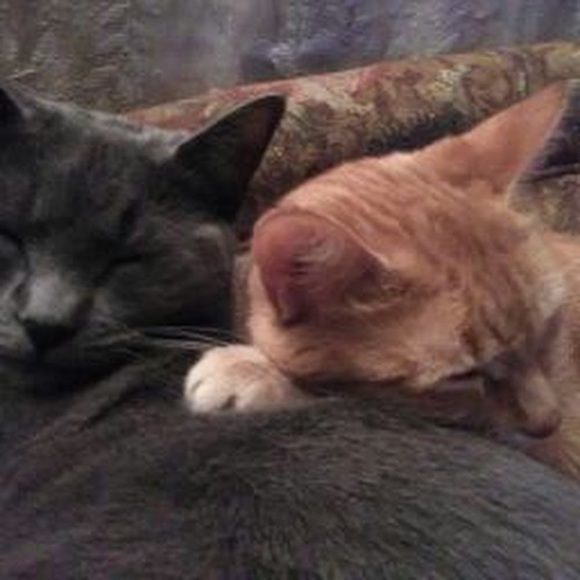 Profile Picture of Kimberley Rhinesmith (@noods1971) on Poshmark