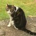 Profile Picture of Alan Stobbs (@alan.stobbs.7) on Facebook