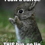 Profile Picture of jayda willett (@jayda.willett) on Instagram