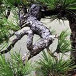 Profile Picture of John Quimby (@john.quimby) on Instagram