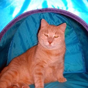 Profile Picture of Kim Hudak (@428299792) on Myspace