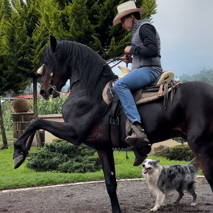 Profile Picture of Erick Britooo (@erickbrito05) on Tiktok