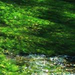 Profile Picture of Eleanor_Kessler (@eleanor_kesslert) on Instagram