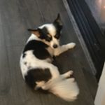 Profile Picture of Mackenzie Fowler (@mackenzie__boi) on Instagram