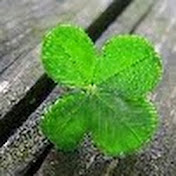 Profile Picture of Roman Shtogrin (@romanshtogrin2451) on Youtube