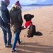 Profile Picture of Kate Siddall (@kate5394) on Pinterest
