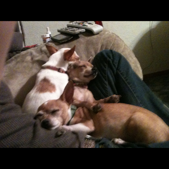 Profile Picture of Brandi Huitt (@brandidale) on Poshmark