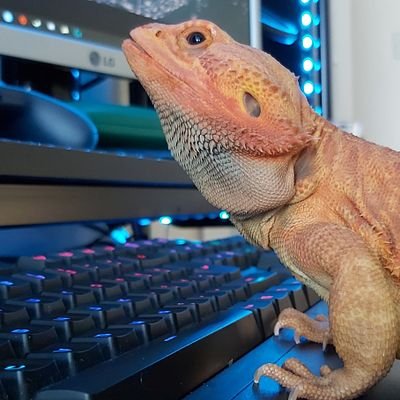 Profile Picture of Amy Dave (@TheBatwinkle) on Twitter