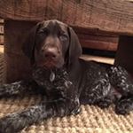 Profile Picture of Tim Friday (@timpfriday) on Instagram