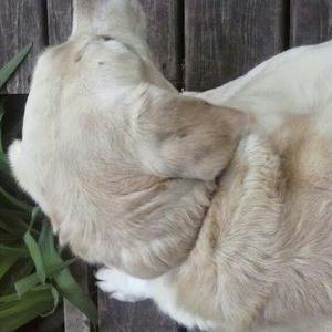 Profile Picture of Sam Bolden (@sbolden955) on Twitter