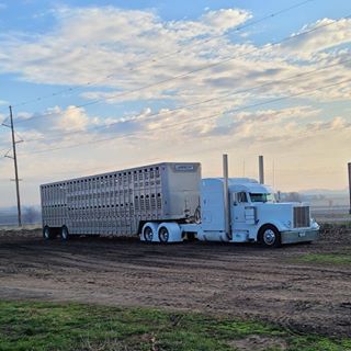 D.j. Stallman - Facebook Profile Picture of D.j. Stallman (@Dj-Stallman) on Facebook