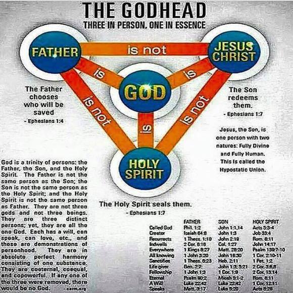 Profile Picture of José Echevarria (@urchosenone) on Poshmark