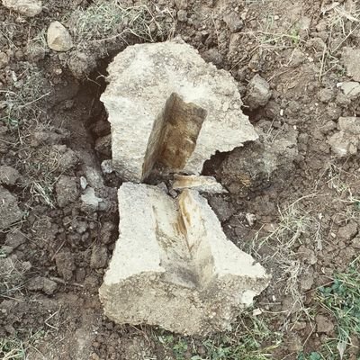 Profile Picture of Chris Carlton (@ChrisECarlton) on Twitter