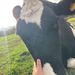 Profile Picture of Joyann_56(f4f)🤠✌️🇺🇸 (@hopejoyannatwood) on Pinterest
