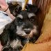 Profile Picture of Cathy Oswalt (Woolley) (@cathy.oswalt.10) on Facebook