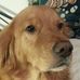 Profile Picture of Stephen Irby (@stephen.irby.12) on Facebook