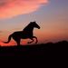 Profile Picture of Kalbiyorgun (@kalbiyorgun_) on Pinterest