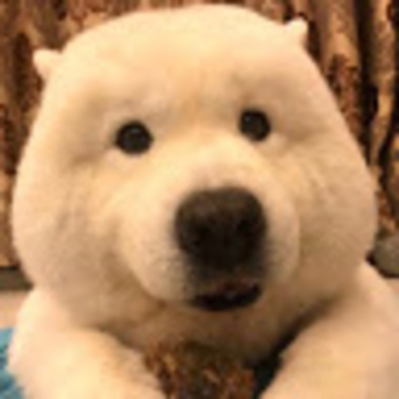 Profile Picture of Camille Liu (@camille19970709) on Poshmark