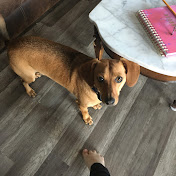 Profile Picture of Jessica Hucks (@jessicahucks3923) on Youtube