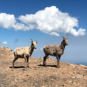 Profile Picture of Amanda Opp (@amandaopp422) on Youtube