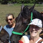 Profile Picture of Janet Barton (@jbarton746) on Instagram