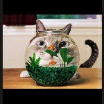 Profile Picture of Michael Pesce (@fanpage_bastasfsfalse) on Instagram