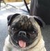 Profile Picture of Chris Markle (@chris.markle.5209) on Facebook