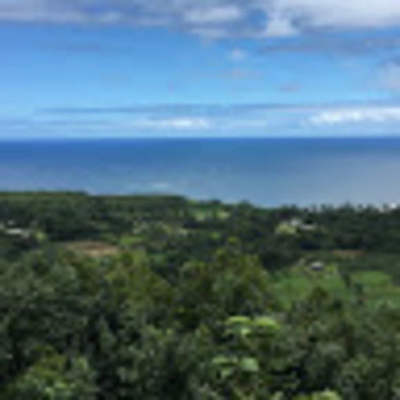 Profile Picture of Kate Mackessy (@mackessykate) on Poshmark