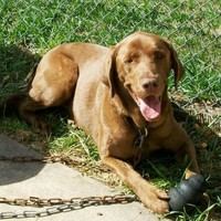 Profile Picture of Jeremy Spangler (@jeremy-spangler-5) on Quora